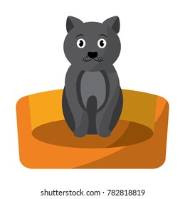 cat animal pet in the bed