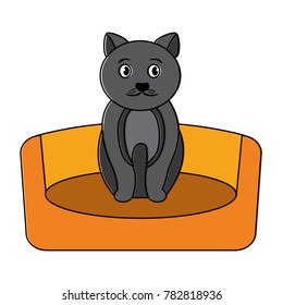 cat animal pet in the bed
