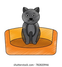 cat animal pet in the bed