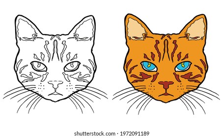 Cat animal vector cute illustrations