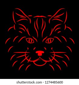 Cat, animal vector illustration. Head, muzzle, cat, color, on dark background