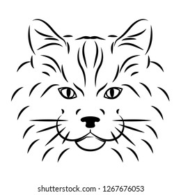 Cat, animal vector illustration. Image for fashion clothing