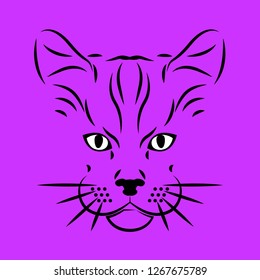 Cat, animal vector illustration. Cat on colored background