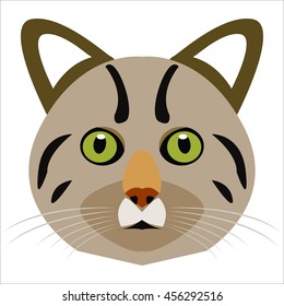 Cat animals, animal line art