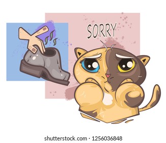 cat apologizes for the boots