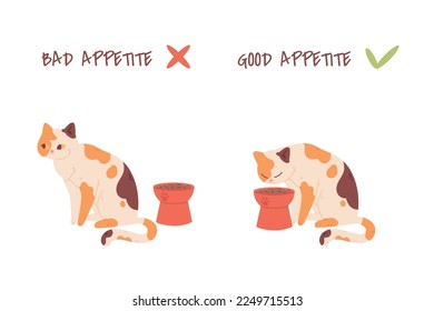 Cat appetite. Picky to feed kitten, bad or good pets appetites diagram, home animal diet cats want eating fodder bowl, hungry pet concept feeding problem cute vector illustration of pet food and feed