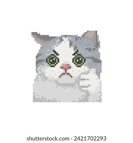 Cat approved, pixel art meme