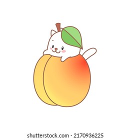 Cat with apricot. Kawaii illustration of a little white kitten sitting in an apricot isolated on a white background. Vector 10 EPS.