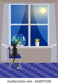 Cat and aquarium on windowsill
