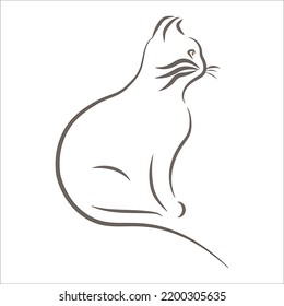 Katalogkunst auf Adobe Illustration