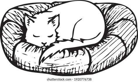 cat asleep in its soft bed