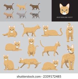 Cat Australian Mist Blonde Coat Cartoon Vector Illustration Color Variation Set