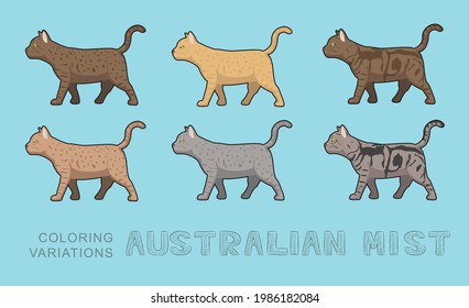 Ilustración vectorial de variantes de color de niebla australiana de gato