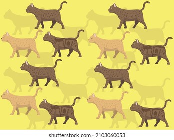 Cat Australian Mist Various Coat Seamless Wallpaper Background