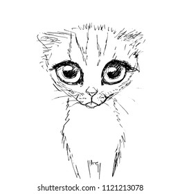 Cat Avatar Head vector