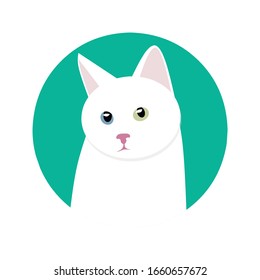 cat - avatar - profile picture 6 vector .eps