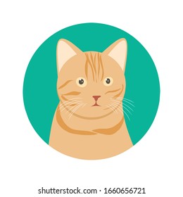 cat - avatar - profile picture 7 vector .eps