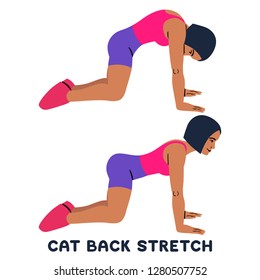 5 Sitting Cat AND Camel Exercise Images, Stock Photos & Vectors ...