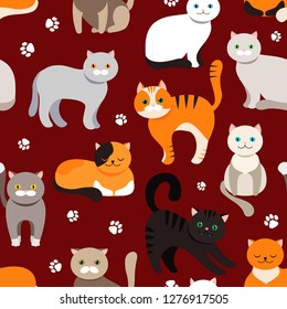 Cat background, seamless pattern. Vector flat illustration. Kitty, Pets. Exotic and ordinary cats. Cartoon.