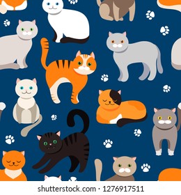 Cat background, seamless pattern. Vector flat illustration. Kitty, Pets. Exotic and ordinary cats. Cartoon.