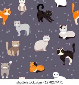 Cat background, seamless pattern. Vector flat illustration. Kitty, Pets. Exotic and ordinary cats. Cartoon.