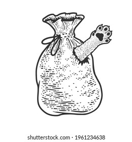 Cat in bag poke sketch engraving vector illustration. T-shirt apparel print design. Scratch board imitation. Black and white hand drawn image.