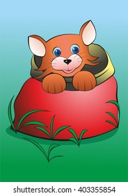 The cat in the bag. Vector illustration.
