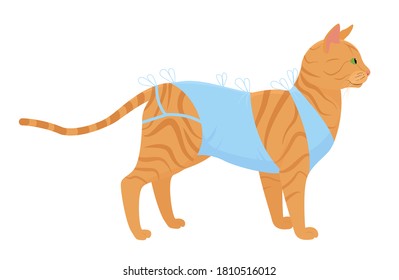 cat bandage after surgery vector illustration. cartoon ginger tabby cat in bandage after neutering isolated on white. pet spay concept