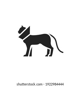 Cat in bandage black glyph icon. postoperative rest. Isolated vector element. Outline pictogram for web page, mobile app, promo