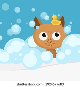 Cat in bath with bubbles and yellow rubber duck on the head. Bathtub with soap foam bubbles and cute kitten. Cartoon character, animal collection. Vector illustration in flat style