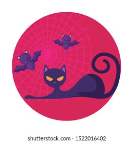 cat and bats over pink background, halloween design, vector illustration