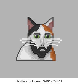 Cat with beard, pixel art meme