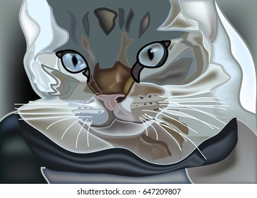 Cat with beautiful coloring and blue eyes. As a symbol of day of protection of animals