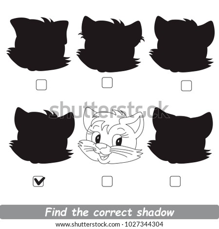 Cat Beautiful Shadow Set to Find the Correct Shadow, the Matching Educational Kid Game to Compare and Connect Objects and Their True Shadows, Simple Gaming Level for Preschool Kids.