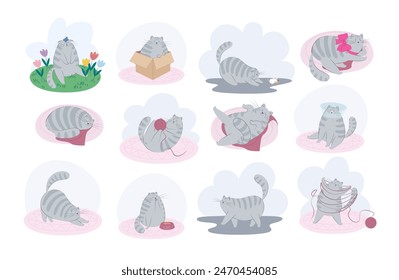 Cat behavior, body language and face expressions. Cute striped grey cat in different situations with various emotions. Set of vector illustrations