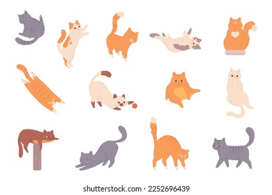 Cat behavior. Feline poses, cartoon cats characters funny emotions, afraid orange kitten scared animal pet cautiously pose and body language, happy pets vector illustration of cat feline pose animal