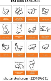 Cat behavior infographic. Body language. Line vector draw cat set with different poses and emotions.