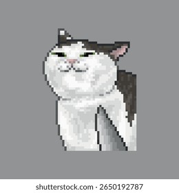 Ameaça ao gato, meme de arte em pixels