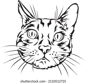 Cat, Bengal cat, portrait, black, vector, illustration