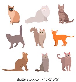 Cat Big Set Beautiful Cartoon Cats Stock Vector (Royalty Free ...