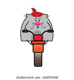 Cat biker with a red scarf on a red motorcycle