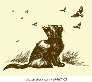 cat and birds drawing