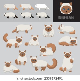 Cat Birman Brown Coat Cartoon Vector Illustration Color Variation Set