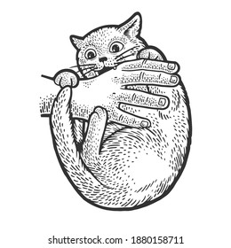 el gato corta la ilustración vectorial de dibujo manual grabada. Diseño de impresión de ropa de camiseta. Imitación de tablero de raquetas. Imagen dibujada a mano en blanco y negro.
