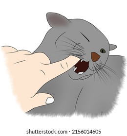 Cat biting a human's finger, isolated background. Illustration of the pet disobedience behavior. Pet care and veterinary illustration. Vector illustration.