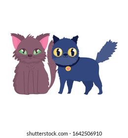 cat and black cat with collar cartoon feline pets vector illustration