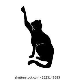  cat is black and graceful