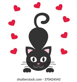 cat black and  heart