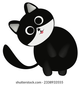cat
black cat
pet
animal
cat with bell