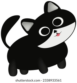 cat
black cat
pet
animal
cat with bell